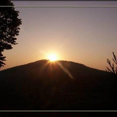 مبيت وإفطار Quincié-en-Beaujolais La Croix De Saburin المظهر الخارجي الصورة