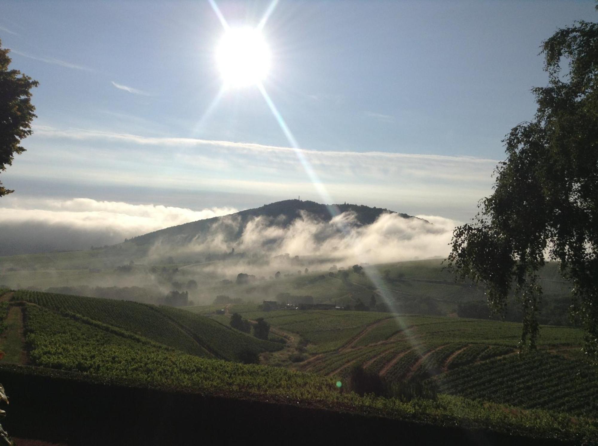 مبيت وإفطار Quincié-en-Beaujolais La Croix De Saburin المظهر الخارجي الصورة
